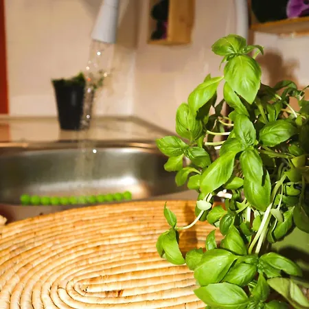 La Rosalie בית נופש